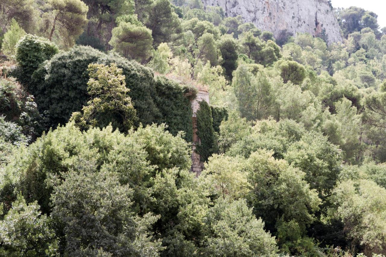 Casa Degli Avi Don Neli, Immersa Nella Natura โมดิกา ภายนอก รูปภาพ
